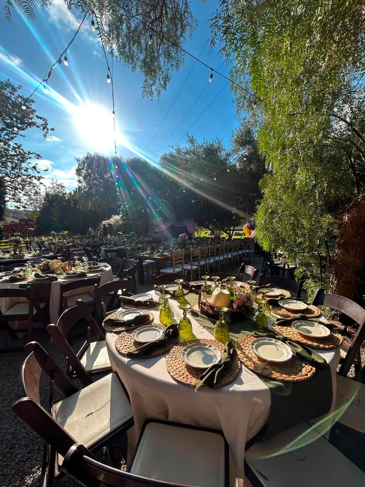 Montaje de banquete al aire libre con luces colgantes